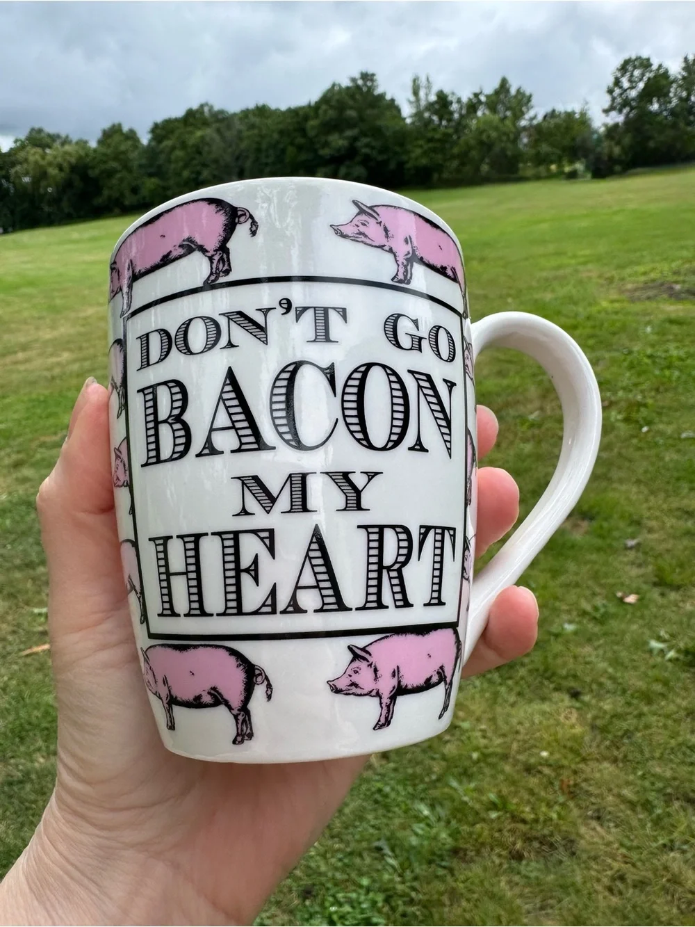 Pier 1 Imports Pig Mug 16 oz.